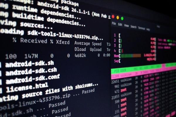 Debian - ein Linux Betriebssystem