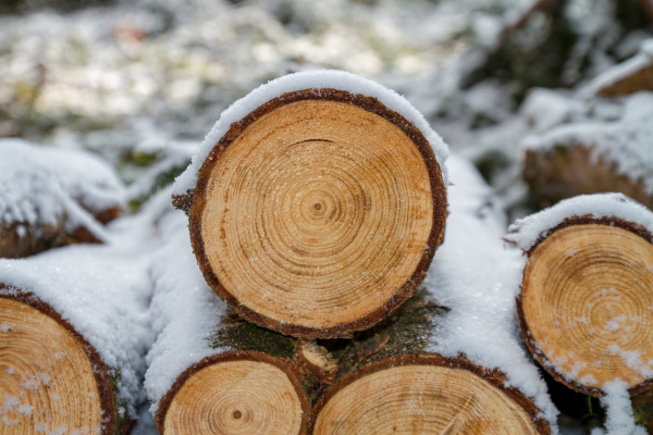Wie nutze ich Holz zur Wärmegewinnung?